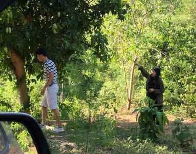 Bán 30.000 m2 (3 ha) đất, thôn Cẩm Tú, xã Hòa Kiến, TP Tuy Hòa, Phú Yên