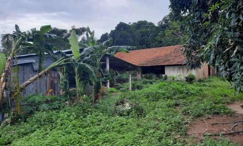 ĐẤT LÀM TRANG TRẠI ĐƯỜNG LÊN KDL SUỐI ĐÁ BÀN GIÁ BÈO!!!